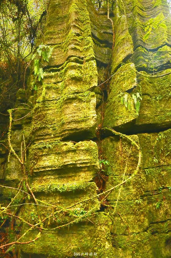 mmexport1546066426696