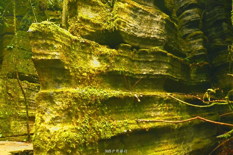 mmexport1546066424176