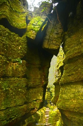 mmexport1546066416087