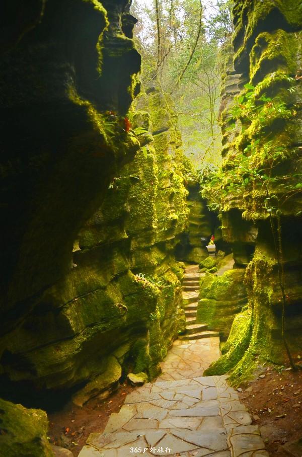 mmexport1546066412800