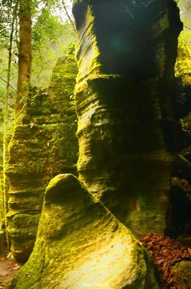 mmexport1546066410151