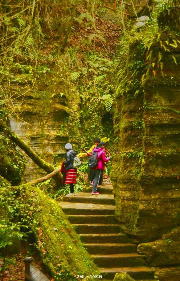 mmexport1546066407641