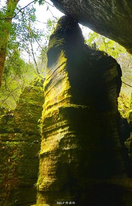 mmexport1546066404808