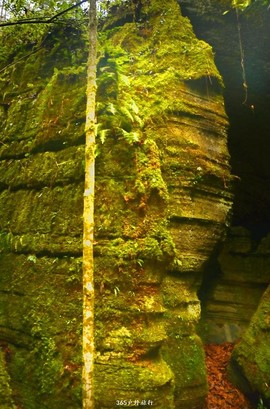 mmexport1546066401870