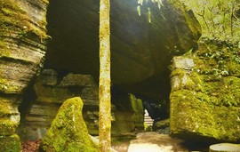 mmexport1546066399222