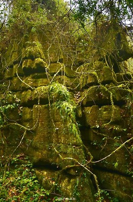 mmexport1546066381924