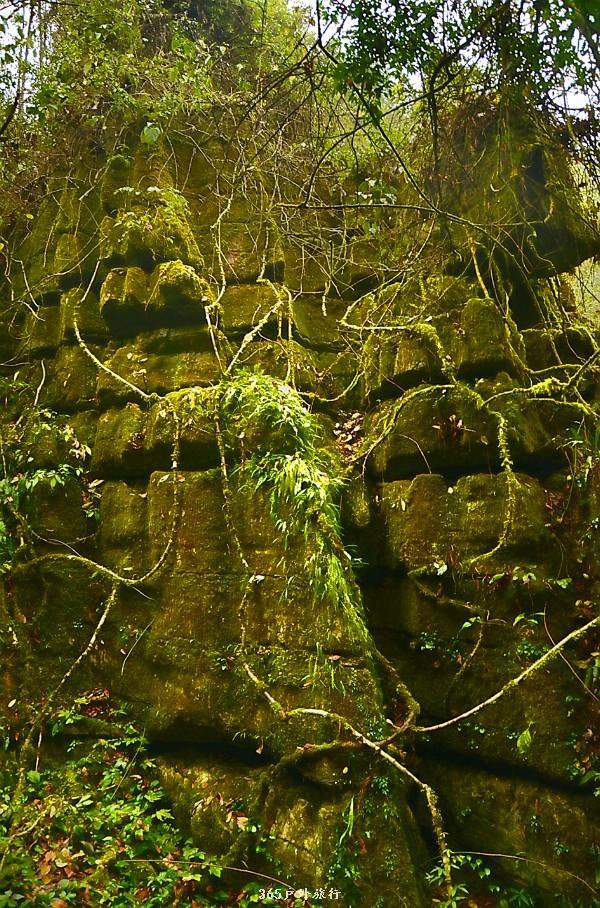 mmexport1546066381924