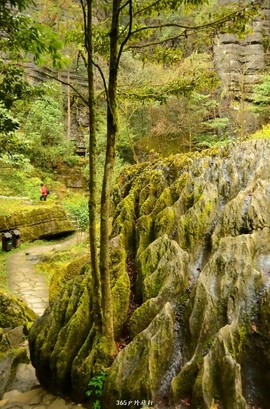 mmexport1546066347722