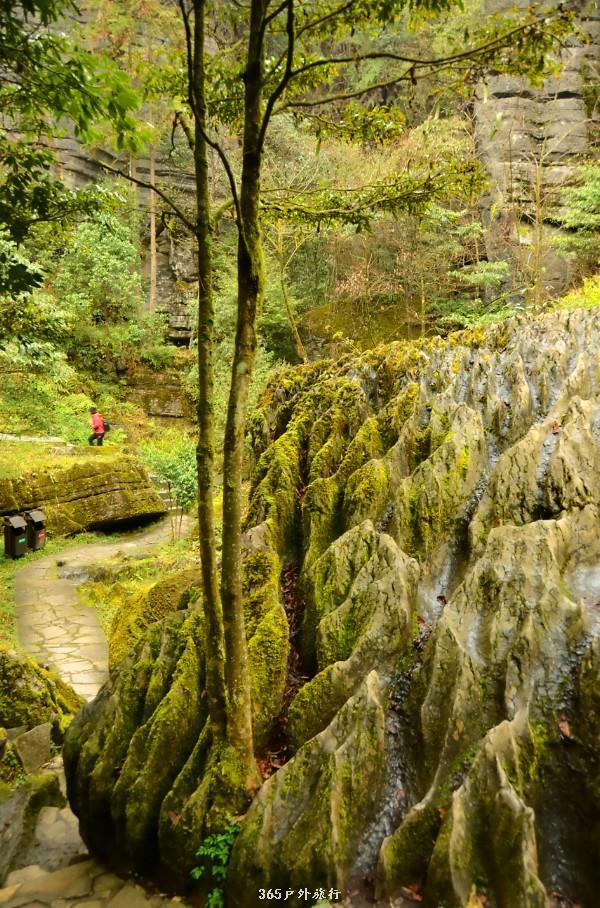 mmexport1546066347722