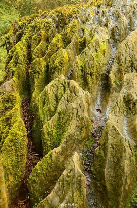 mmexport1546066344562