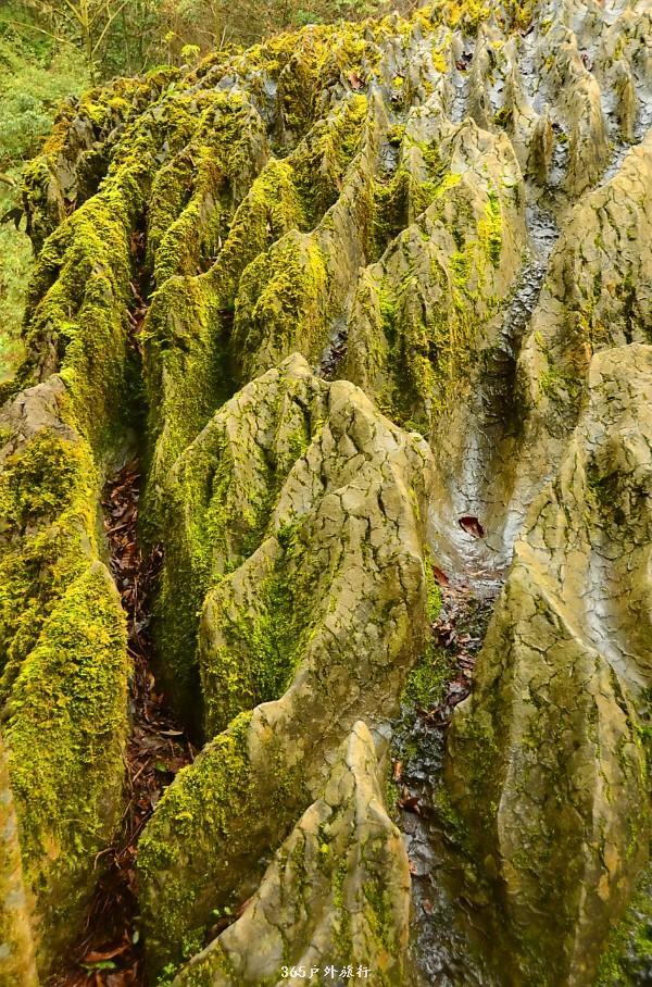 mmexport1546066344562