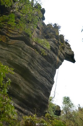 mmexport1546066327452