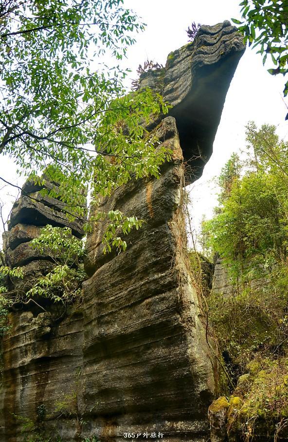 mmexport1546066325126