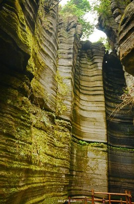 mmexport1546066322321