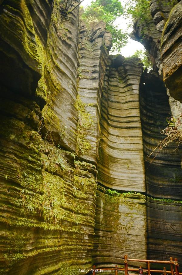 mmexport1546066322321