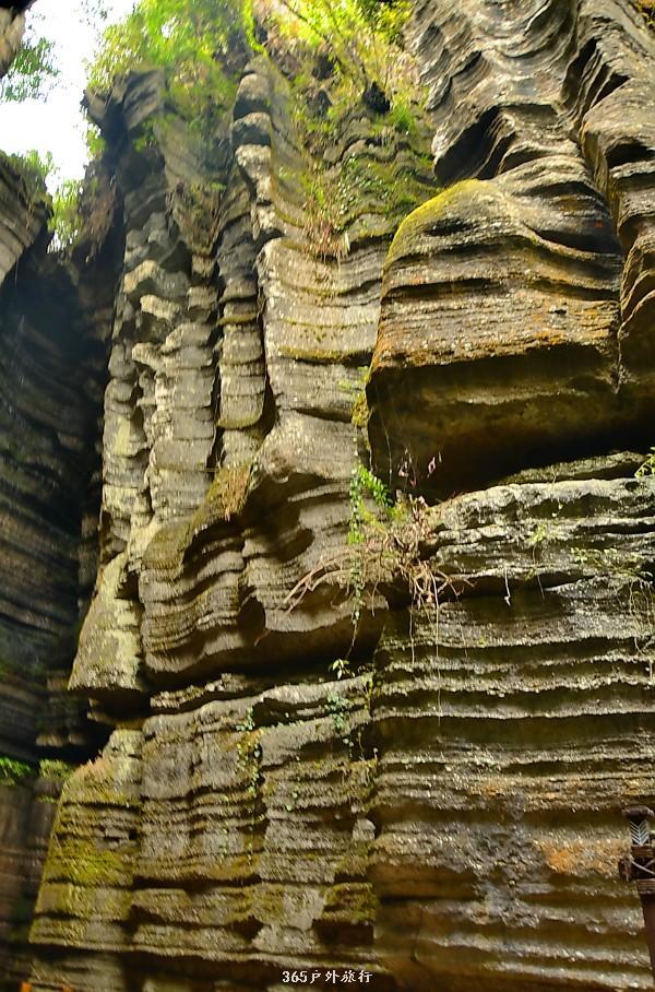 mmexport1546066319747