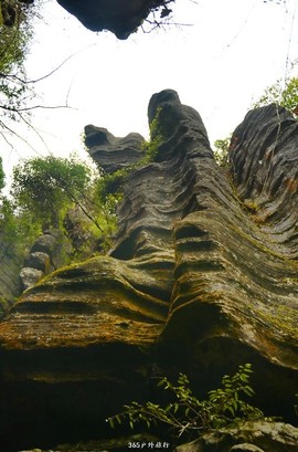 mmexport1546066307809