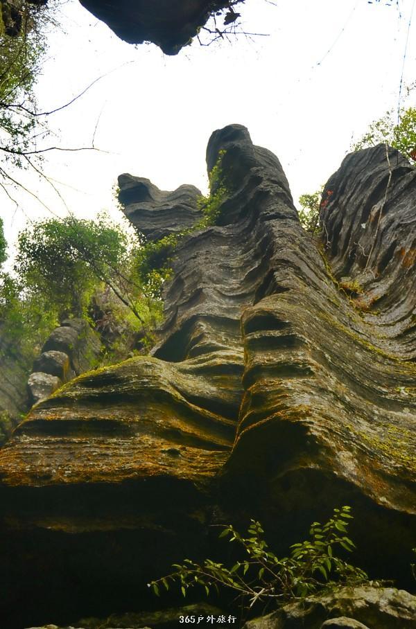 mmexport1546066307809