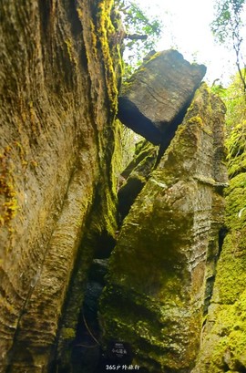 mmexport1546066305505