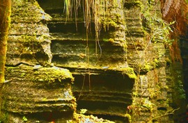 mmexport1546066288843