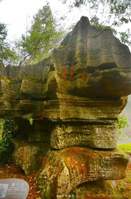 mmexport1546066282482