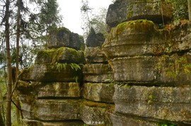 mmexport1546066280020