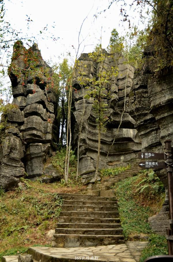 mmexport1546066134729