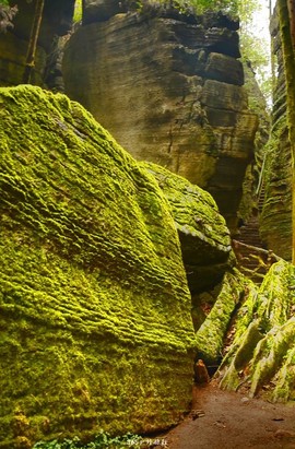 mmexport1546070089839