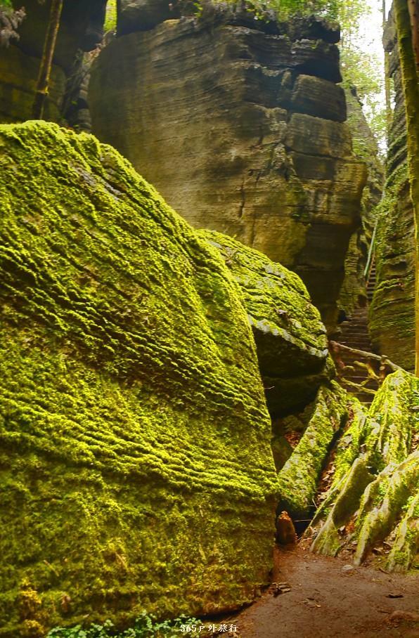 mmexport1546070089839