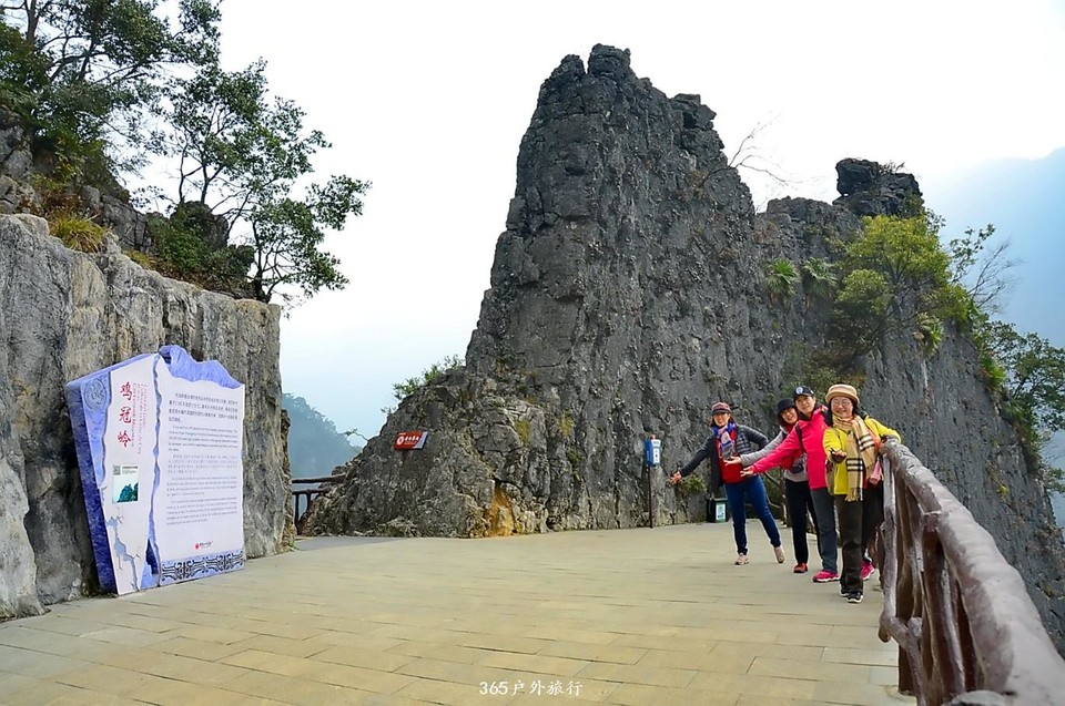 mmexport1546070005853