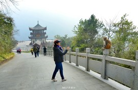 mmexport1546069988068