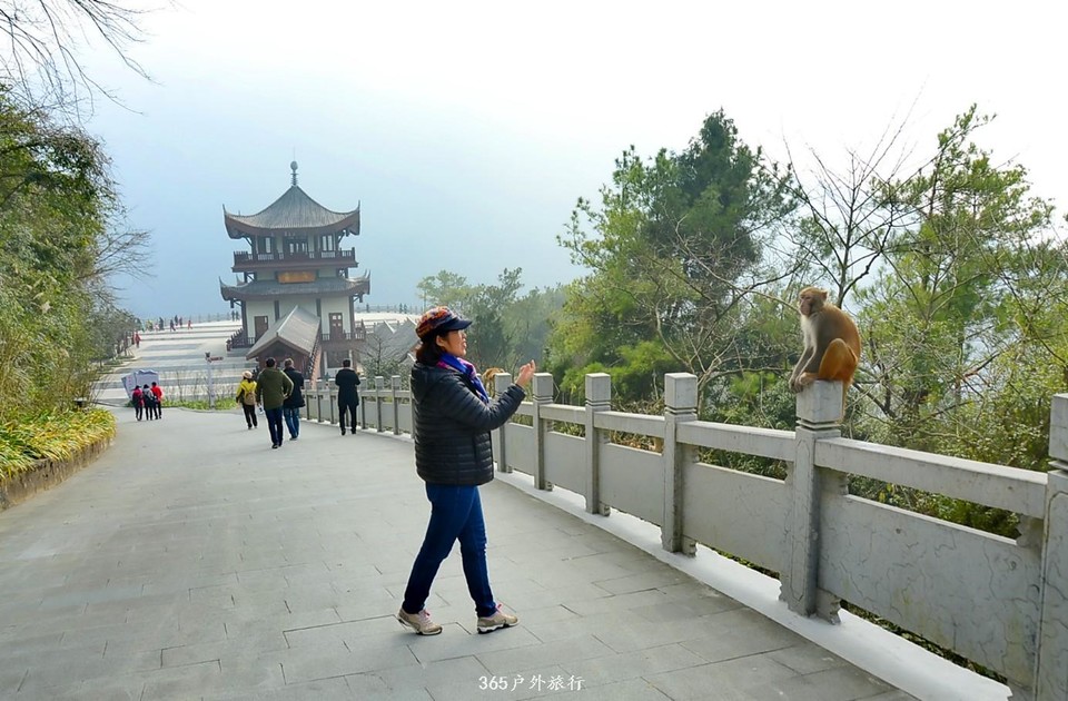 mmexport1546069988068