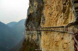 mmexport1546519685807