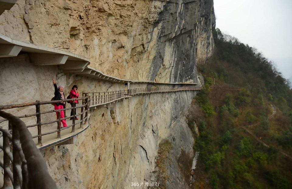 mmexport1546519688124