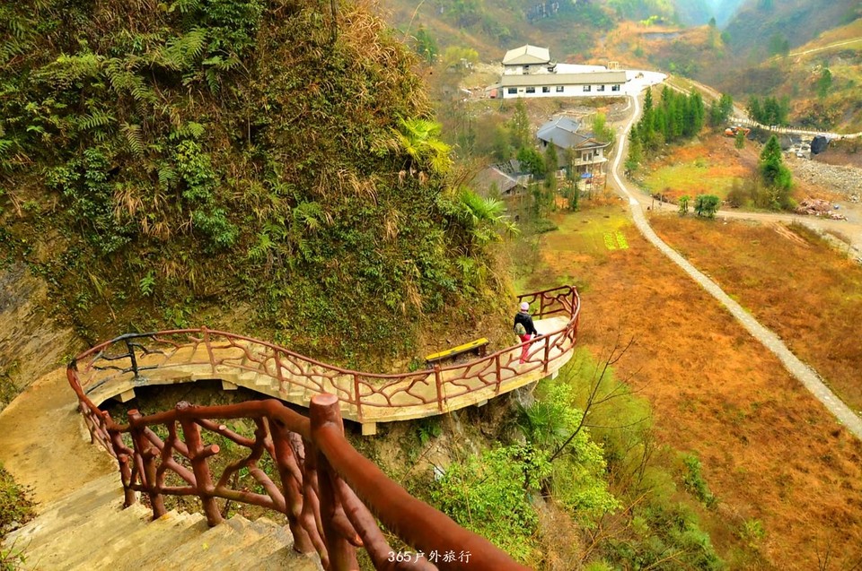 mmexport1546519667066