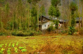 mmexport1546519645630