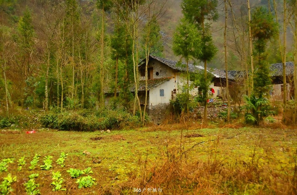 mmexport1546519645630