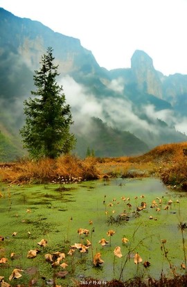 mmexport1546519574397