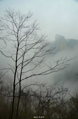 mmexport1546519468317