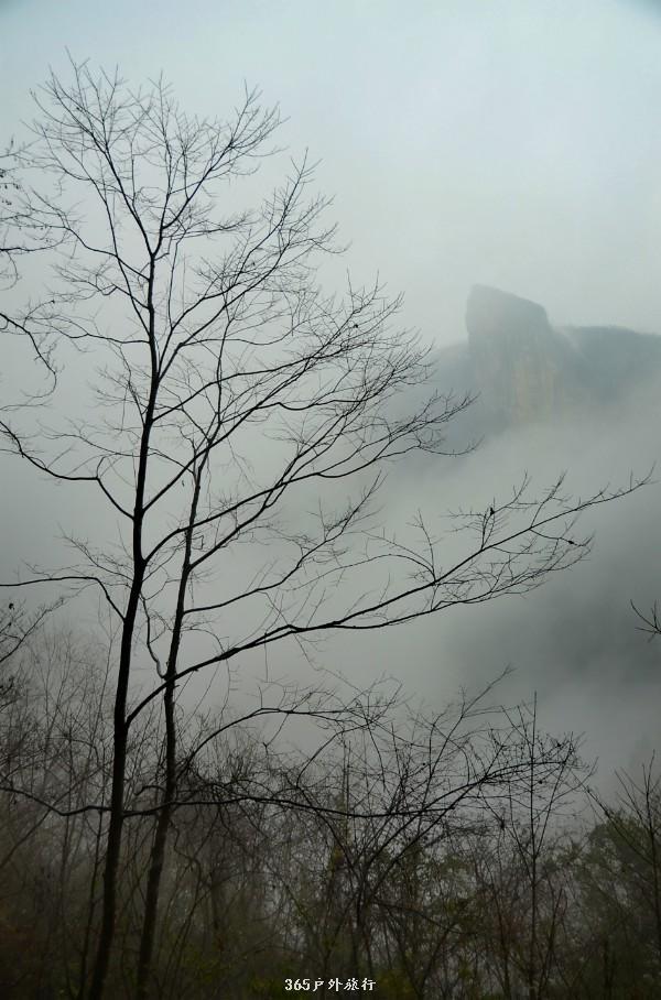 mmexport1546519468317