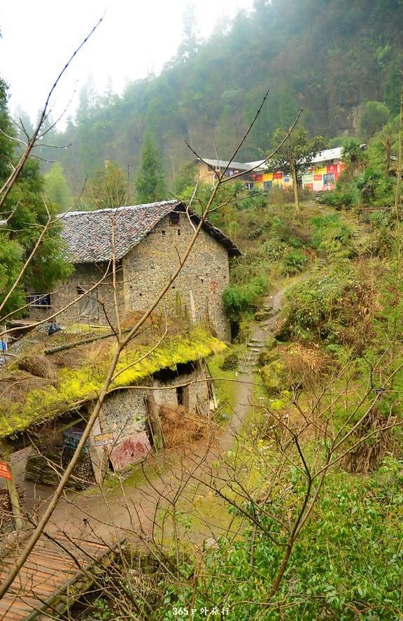 mmexport1546519315628