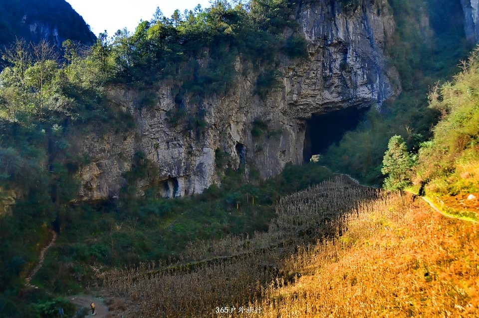 mmexport1546596034253