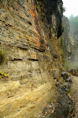 mmexport1546596013183