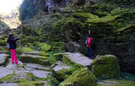 mmexport1546641263536