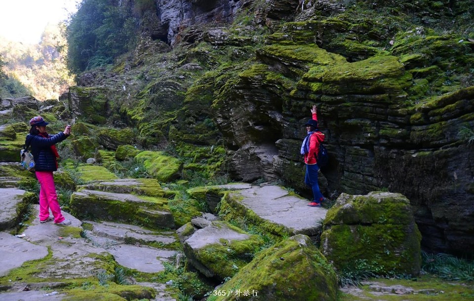 mmexport1546641263536