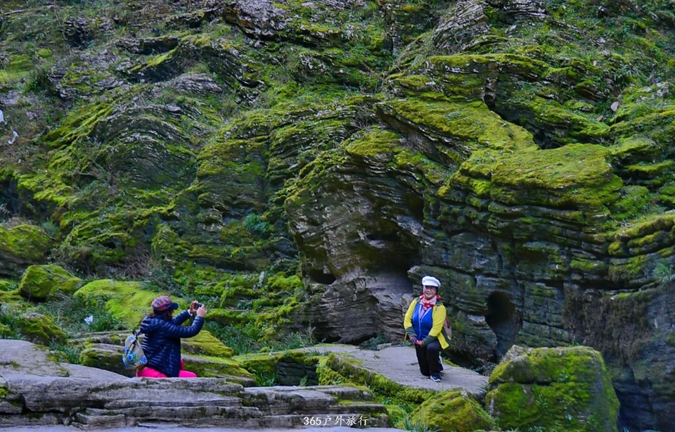 mmexport1546612212370