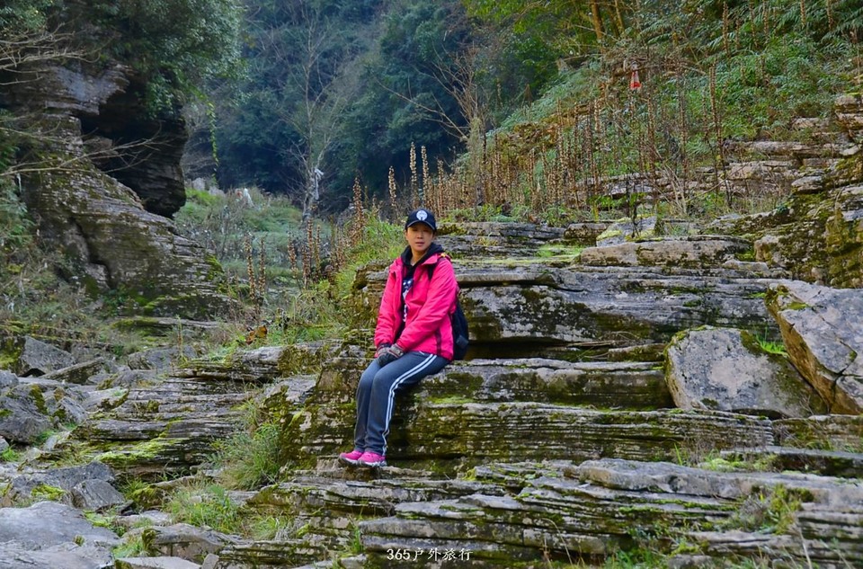 mmexport1546697270983