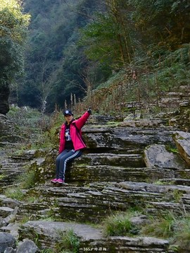 mmexport1546697258887