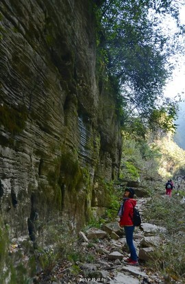 mmexport1546697247349