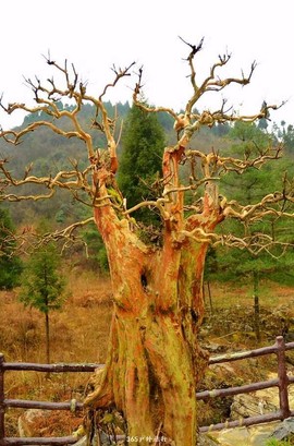 mmexport1546473543664